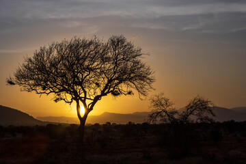 Naklejka na ściany i meble sunrise over Africa to dream