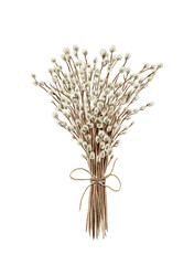 Vintage bouquet with spring willow twigs flowers isolated on white background. Watercolor hand drawn illustration sketch © Mimomy