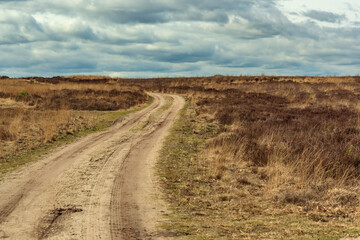 Fototapeta na wymiar Dirt road in heath landscape under a cloudy sky.