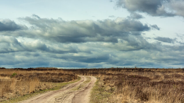 Dirt road in heath landscape under a cloudy sky.