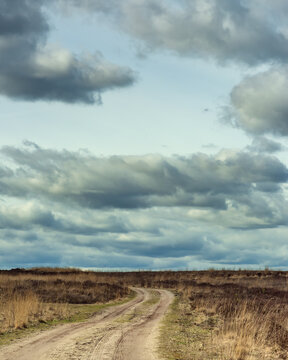 Dirt road in heath landscape under a cloudy sky.