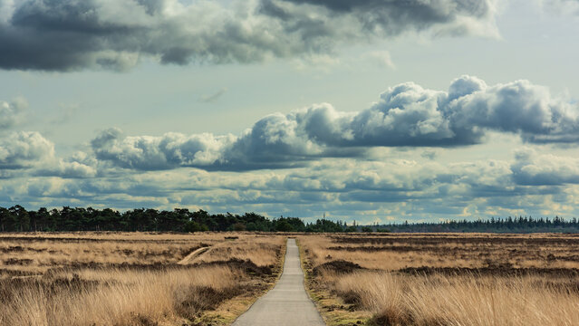 Path in heath landscape under a cloudy sky.
