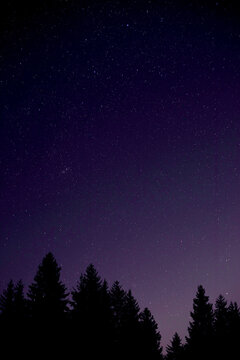 starry night sky © Sebastian