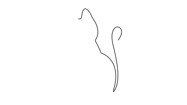 continuous line British Shorthair cat lying on a white table Viewing Copy Area Banner