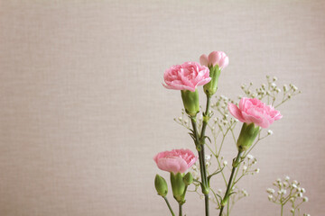 Pink carnations and baby’s breath in sepia space with copy space to the left