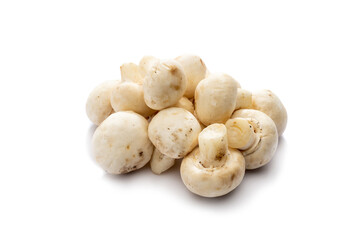 Heap of mushroom isolated on white background   
