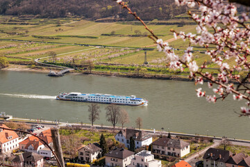 Spitz village with ship on Danube river in Wachau valley (UNESCO) during spring time, Austria