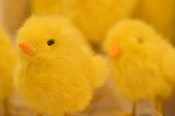 Easter. Toy fluffy yellow chicken 