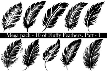 Obraz premium Mega-set pack of 10 vector black Fluffy Feather Silhouette Icon, Set Isolated. Bird Feathers for Logo. White background