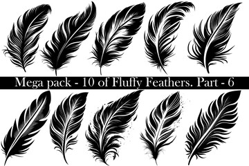 Mega-set pack of  10 vector black Fluffy Feather Silhouette Icon, Set Isolated. Bird Feathers for Logo. White background