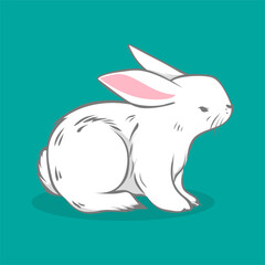 Rabbit Cute Animal Vector Set 