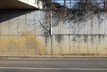 Fototapeta premium Tall grunge concrete wall with vegetation and weeds. Sidewalk and two lane road in front. Background for copy space