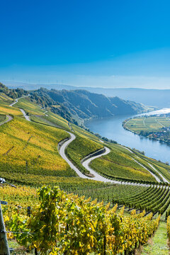 Moselblick auf den Ort Piesport