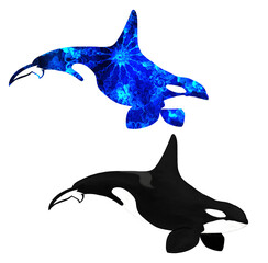 シンプルなシャチ＋幻想的なシャチ © Orusuke