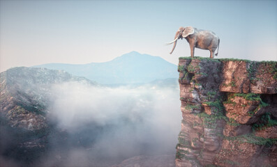 Elephant sitting on edge of a cliff and admiring the landscape.