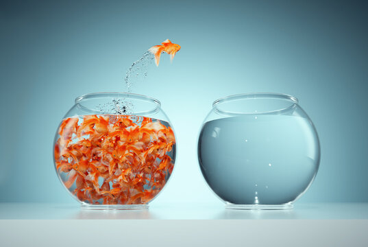 I'm not like others - be different concept - goldfish jumping in a bigger fish bowl.