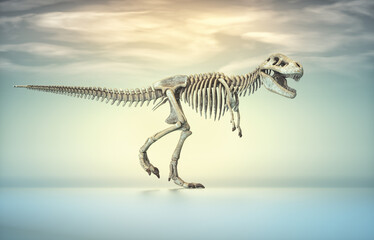 T rex skeleton.