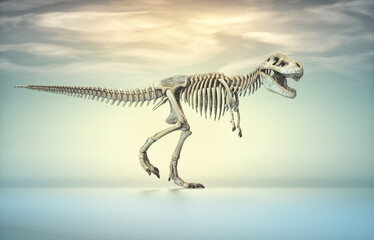 T rex skeleton. © Orlando Florin Rosu