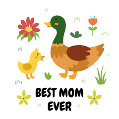 Best mom ever print with a cute mother duck and her baby chick. Funny animals family card for Mother’s Day. Vector illustration