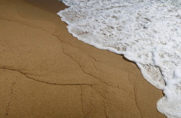 Fototapeta na wymiar Wave foam on the beach