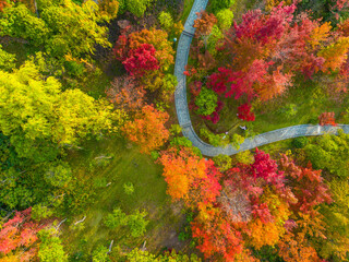 Autumn scenery park