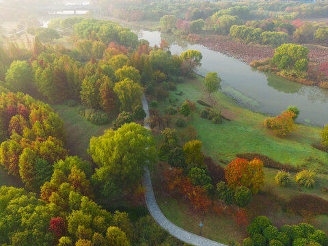 Wetland park, beautiful scenery