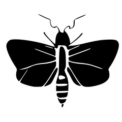 black and white of insect icon