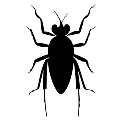 black and white of insect icon