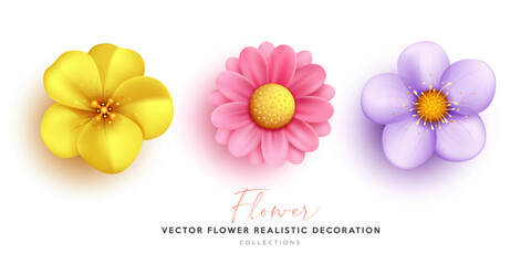 Flower colorful decoration, realistic collections design isolated on white background, EPS10 Vector illustration. 