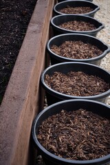 buckets filled with compost and dried leaves  for planting vegetables