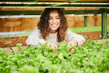 Joyful female person holding green leafy plants arugula and smiling while standing by shelf with seedlings in greenhouse. Young woman looking at fresh leafy greens in garden center.