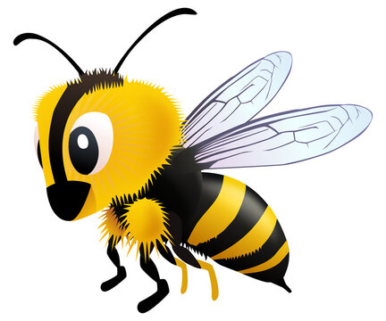 Bee in cartoon style in flight isolated on a white background (cut out)