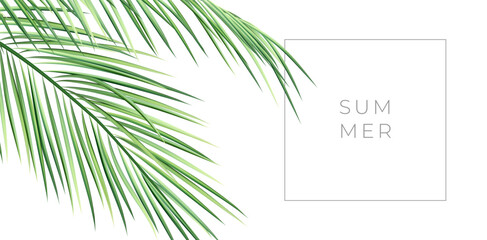 Realistic palm tree branch with SUMMER typography. Vector illustration of green tropical leaf. Exotic plant template for background, wallpaper. Close up
