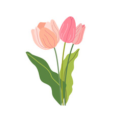 Festive vector illustration with branches of tulip flowers and green leaves. Bouquet of pink tulips isolated on white. Floral composition for spring design. Greeting card template. Mothers day