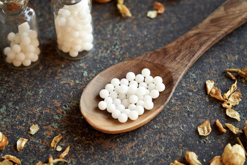 Obraz na płótnie Canvas Close up of homeopathic globules on a wooden spoon