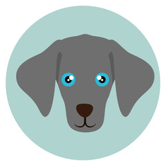 PNG image dog icon in a circle with transparent background