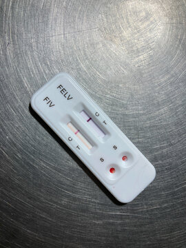 The rapid test Kit for detection of Feline Leukemia virus antigen and Feline Immunodeficiency virus antibody in feline serum.