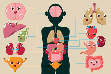 cartoon vector, illustration flat character happy internal organs in body, anatomy infographic of structure human.