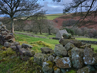 Fototapeta premium Through a gap in a dry stone wall, a February view east along Colsterdale towards Masham, North Yorkshire