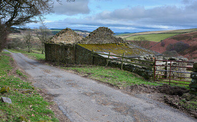 With derelict stone farm buildings, a February view east along Colsterdale towards Masham, North...