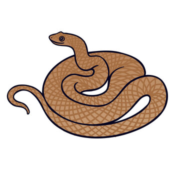 Eastern brown snake Aussie fauna color vector character