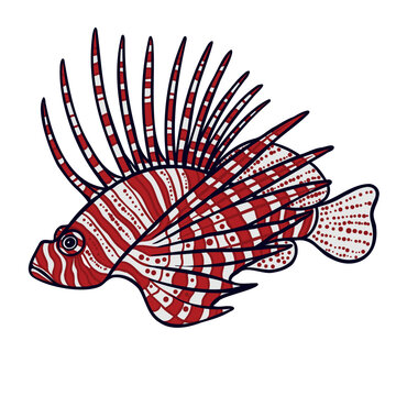 red striped lionfish swimming white background clip art preview