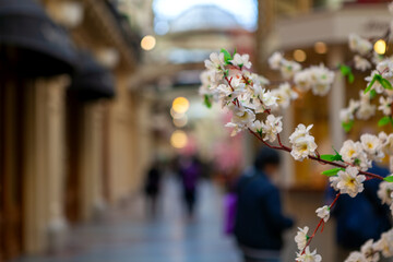 Blurred shopping mall background. A plant inside a mall