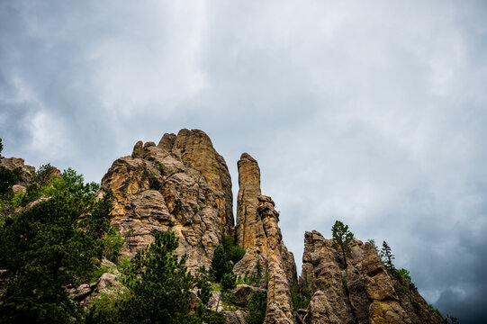 Landscape Along The Scenic Needles Road In Custer State Park, South Dakota