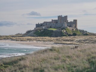 Fototapeta na wymiar Beautiful view of Bamburgh castle on the hill surrounded by green grass and reeds on the Northumberland coast