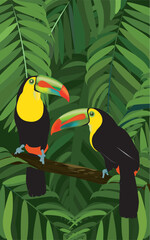 2 toucans posés sur un arbre au milieu des feuilles. © Valerie
