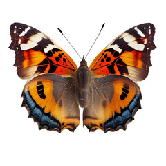 butterfly on a transparent background. generative AI