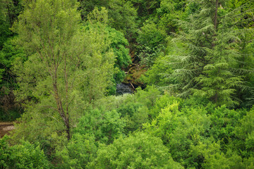 Cirque de Navacelles