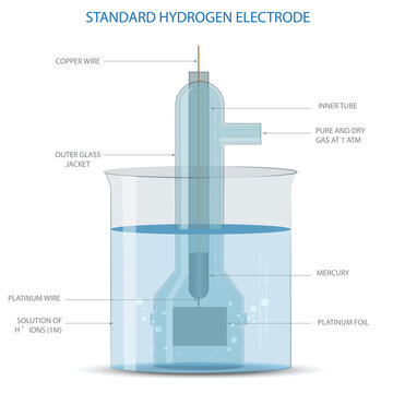 A Standard Hydrogen Electrode is a reference electrode used in electrochemical cells, where hydrogen gas is bubbled over a platinum surface, essential for measuring electrode potentials
