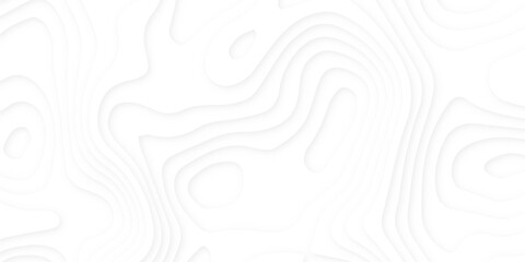 Abstract wavy line 3d paper cut white background. Topographic canyon geometric map relief texture with curved layers and shadow. Abstract realistic papercut decoration textured with wavy layers	